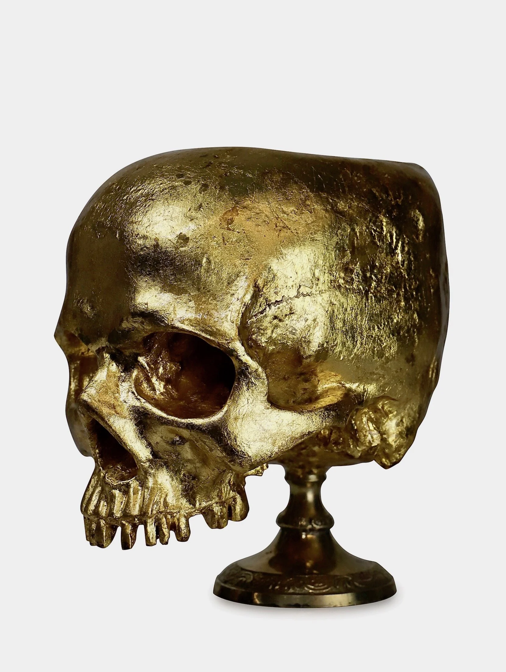 34472FAD-CD1A-49CB-BECE-2CB98127278E