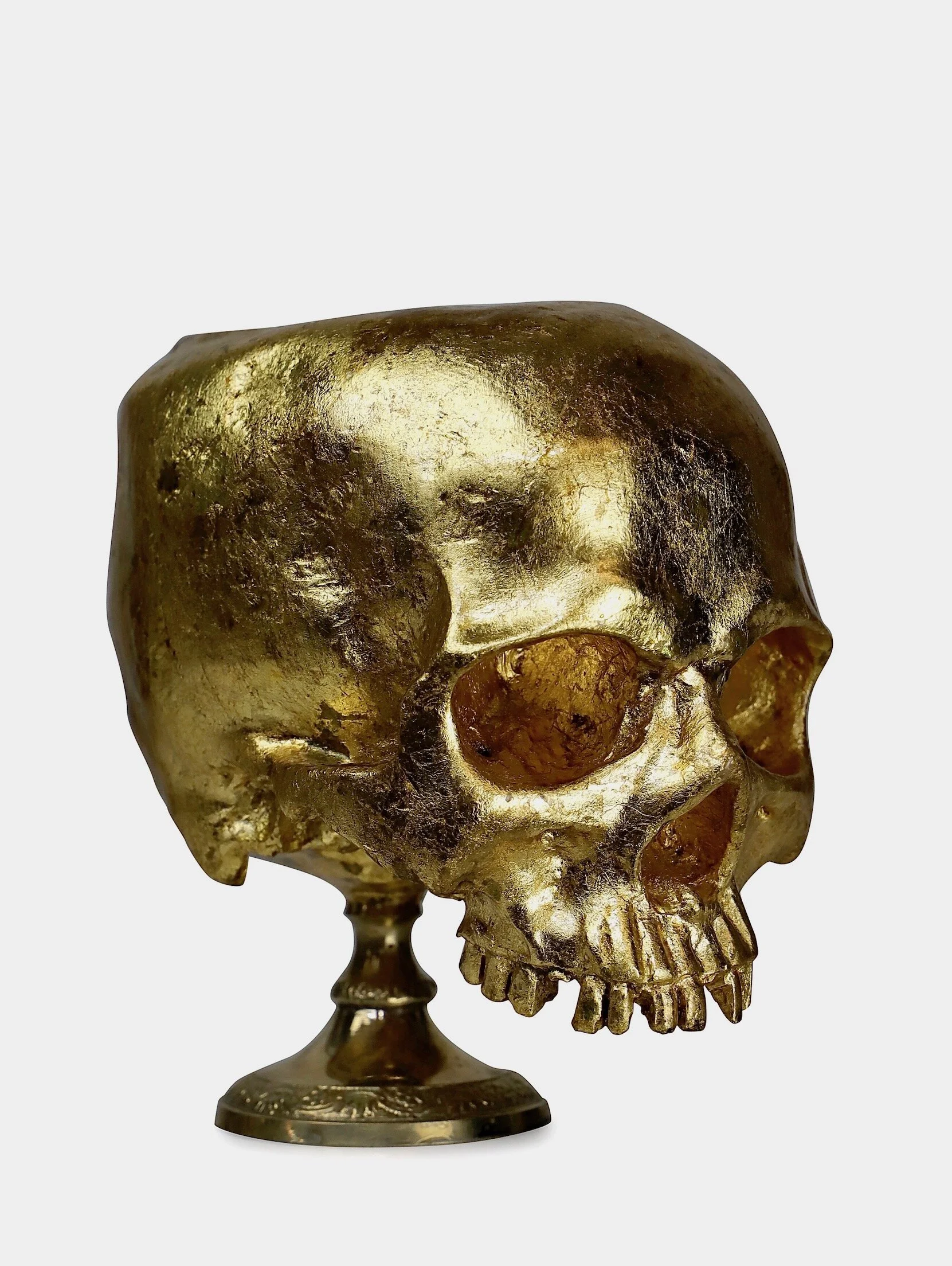 390668CB-5355-440D-A8DD-E2B2F5AD7505