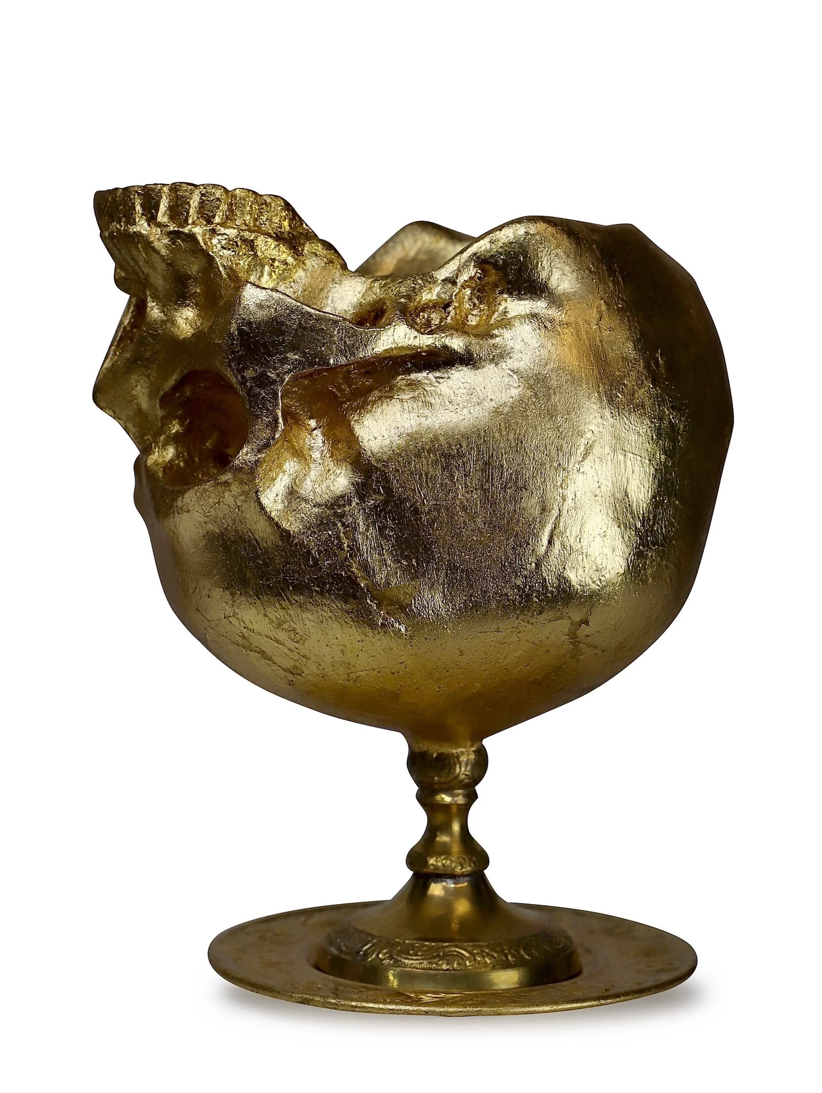 0D0CC8EF-3F5C-4E4D-A3F6-61BB75EE9F7F