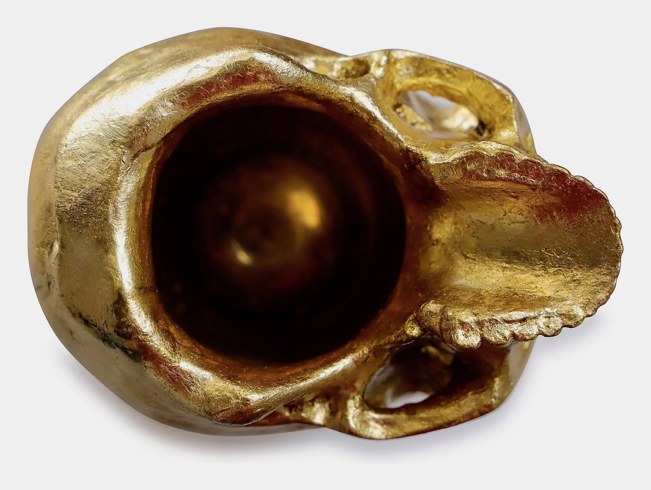 93D1F7C2-8D99-41F6-9AC1-260AC800C5FF