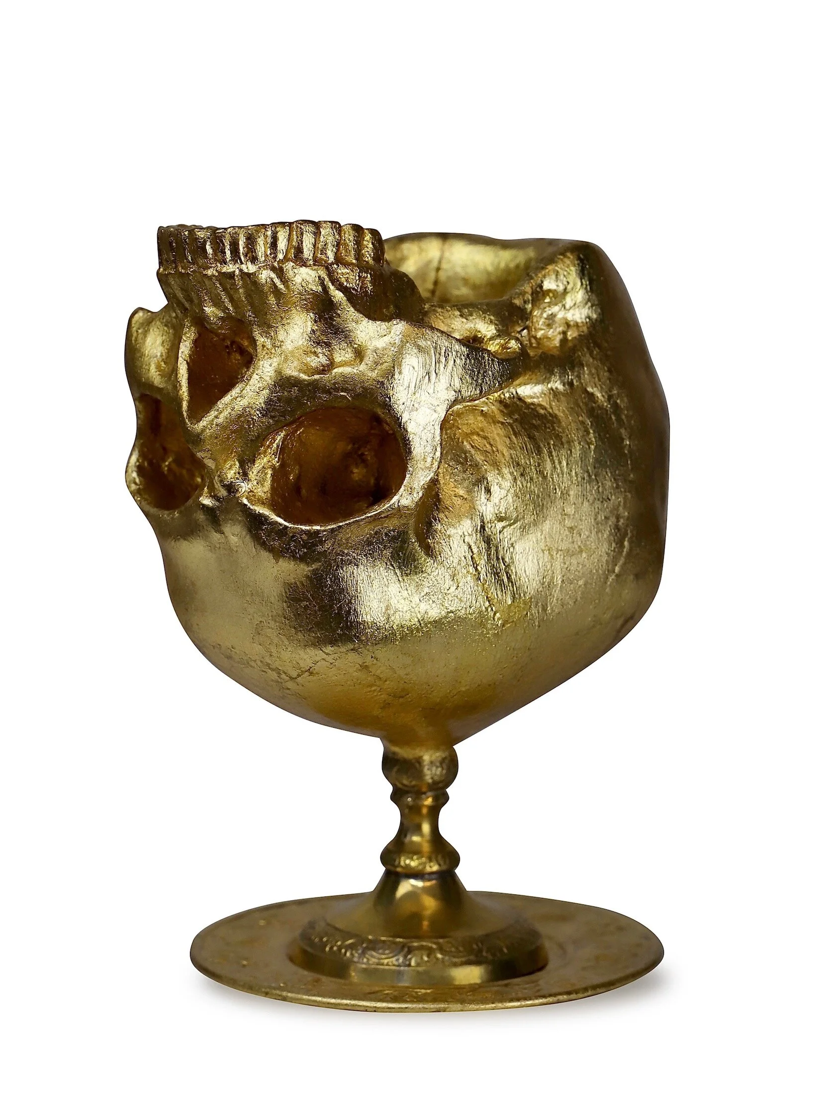 5A52B5ED-6A36-442F-BEBA-C1CE18F8E764