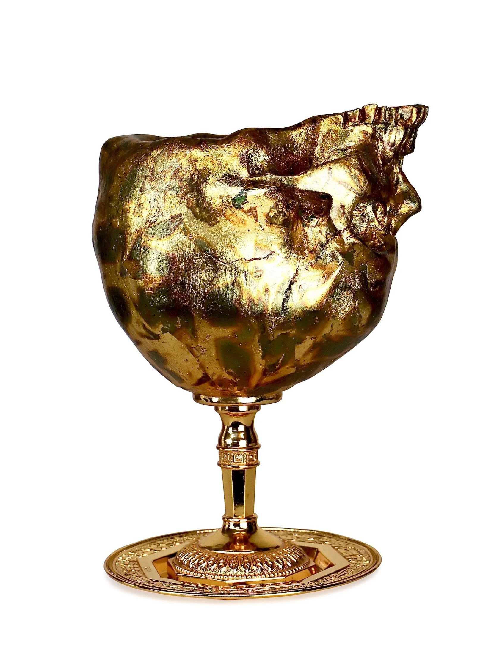 F5568C31-5C7A-41A6-9C12-0E292E5541B0