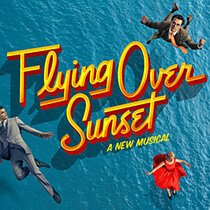 flying-over-sunset.jpg