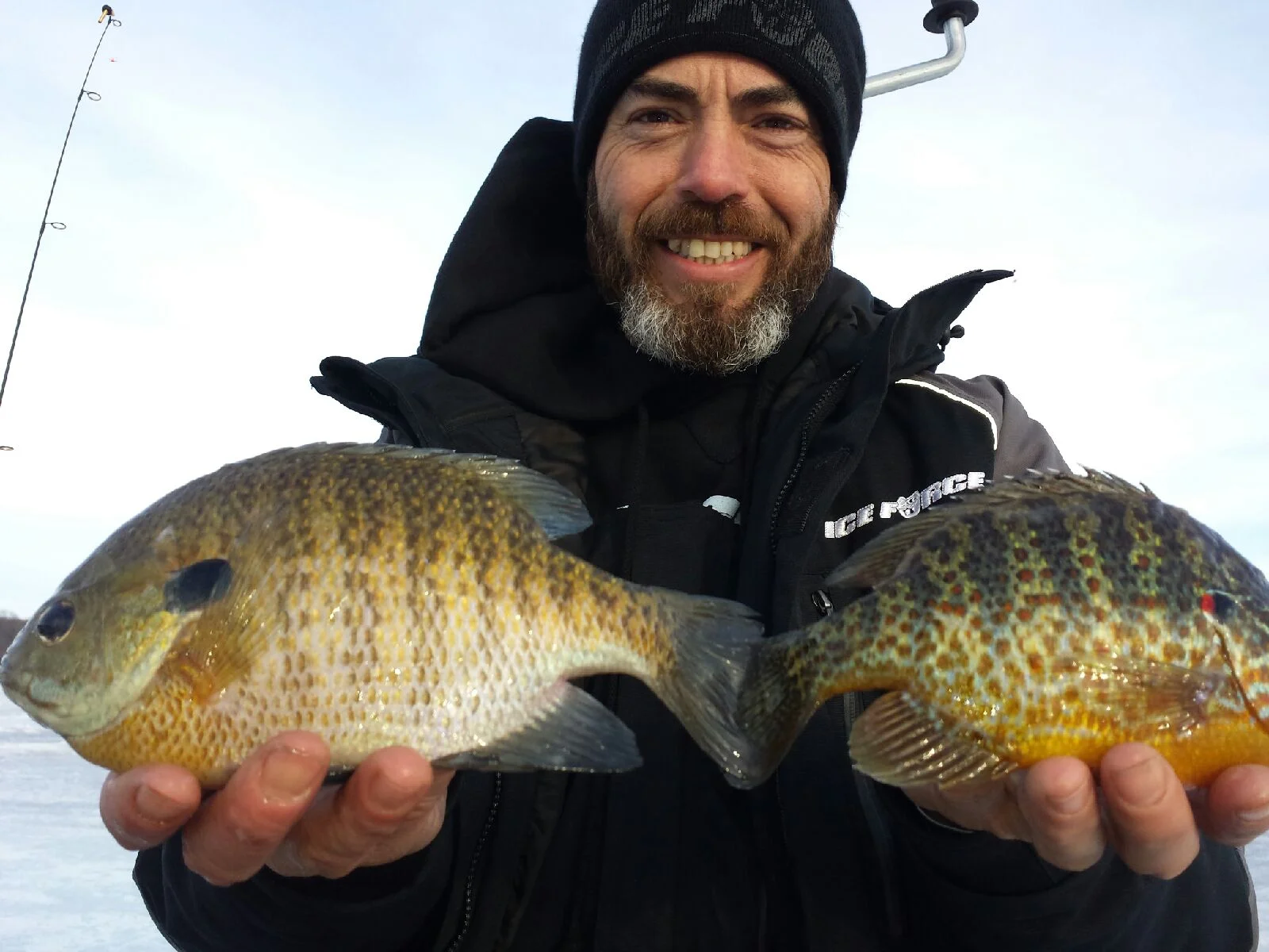 winter down load 2842.jpeg