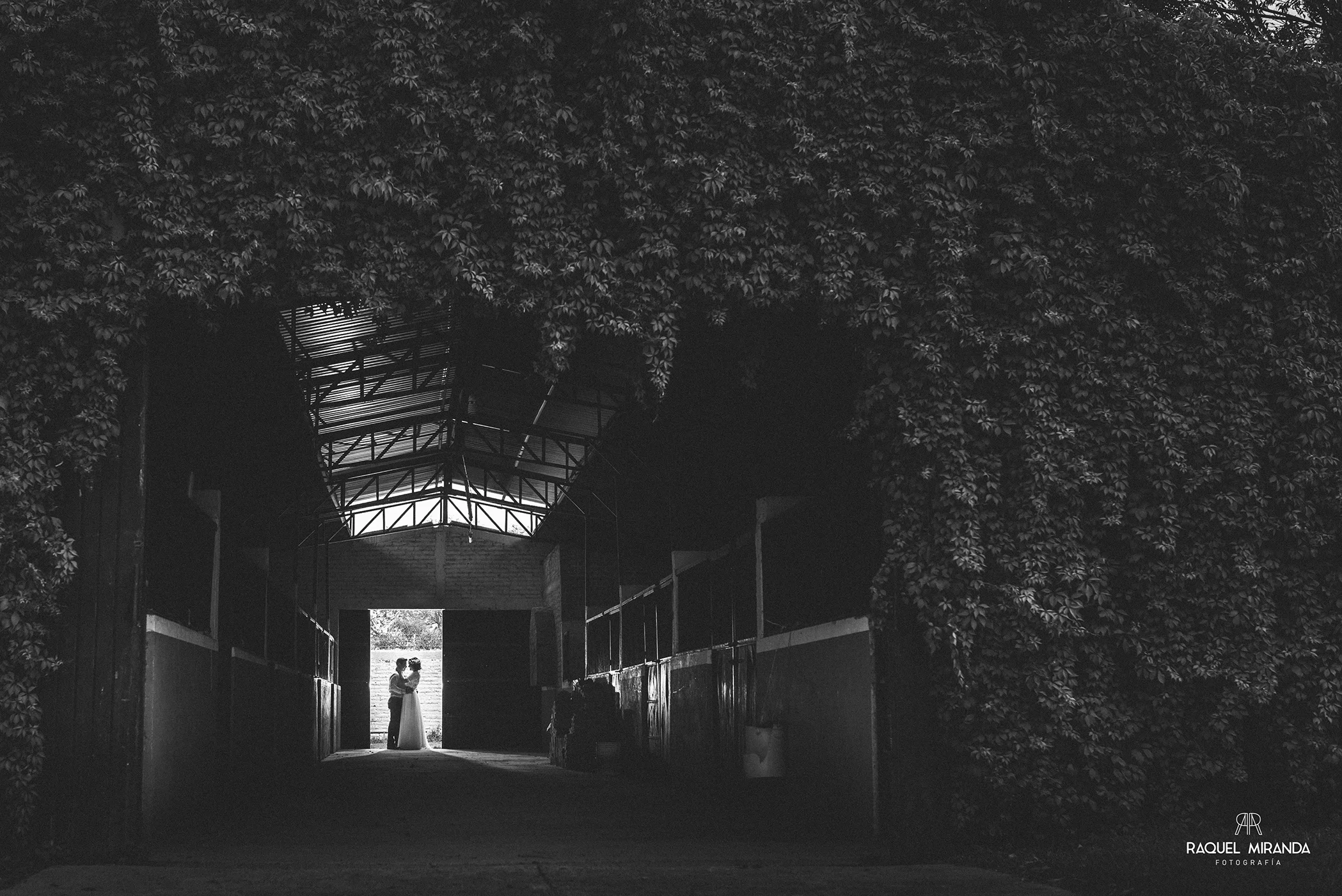 PAULINA & BENJAMÍN | BODA CIVIL