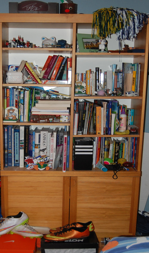 bookshelf+before+copy.jpg