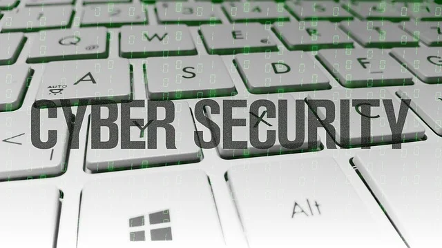 cyber-security-1914950_640 pixabay.jpg