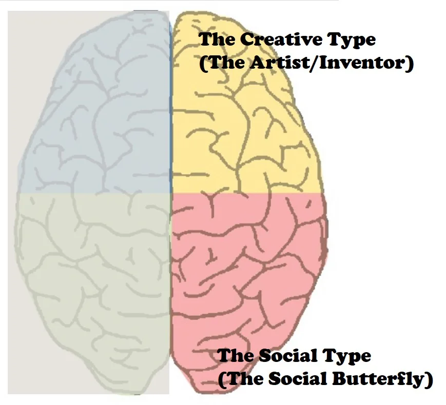 brain right side.jpg