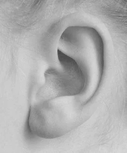 black and white ear.jpg
