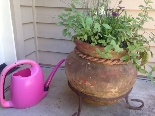 Use your pre-heating shower/bath water for your gardens and flower pots