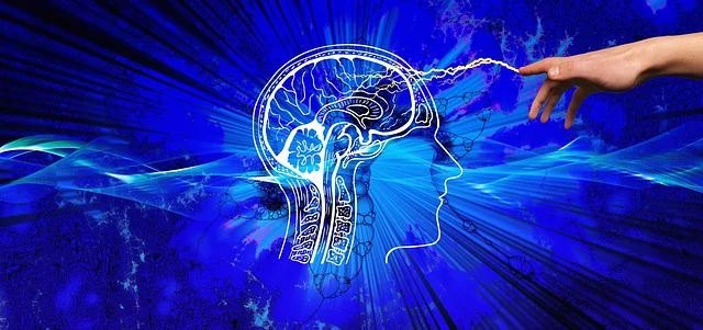 knowledge-3914811_640 brain pixabay.jpg