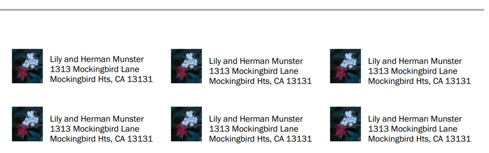 address+labels.jpg