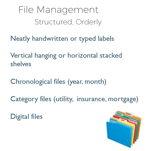 brain systems paper management left side copy.jpg