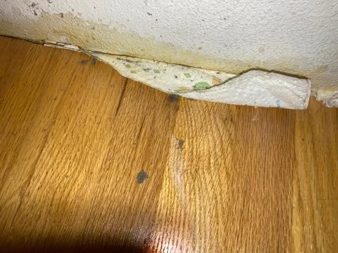 Crumbs and other yuck