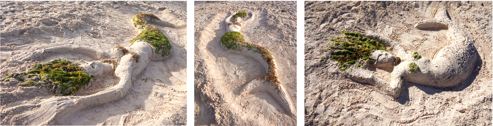 SAND: During a family vacation in the Dominican, my son and I started building daily sand sculptures on the beach. A combination of the tide and a tractor raking the sand every morning meant a short life for the sculptures, but we were ok with that. It was all about how satisfying it was to create something hands-on. The mermaid's hair and tail are made with seaweed collected on the beach.