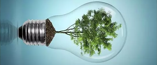 中心成员赵雪冰博士提出木质纤维素生物质转化新思路