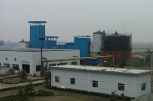 5.5 MW biomass gasification-steam Combined Cycle Power Plant