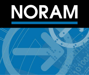 NORAM Engineering and Constructors Ltd.