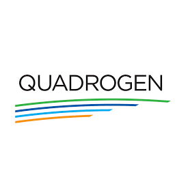 Quadrogen Power Systems, Inc.