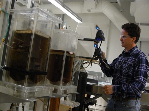 Pilot-scale bioreactor studies are conducted to scale-up