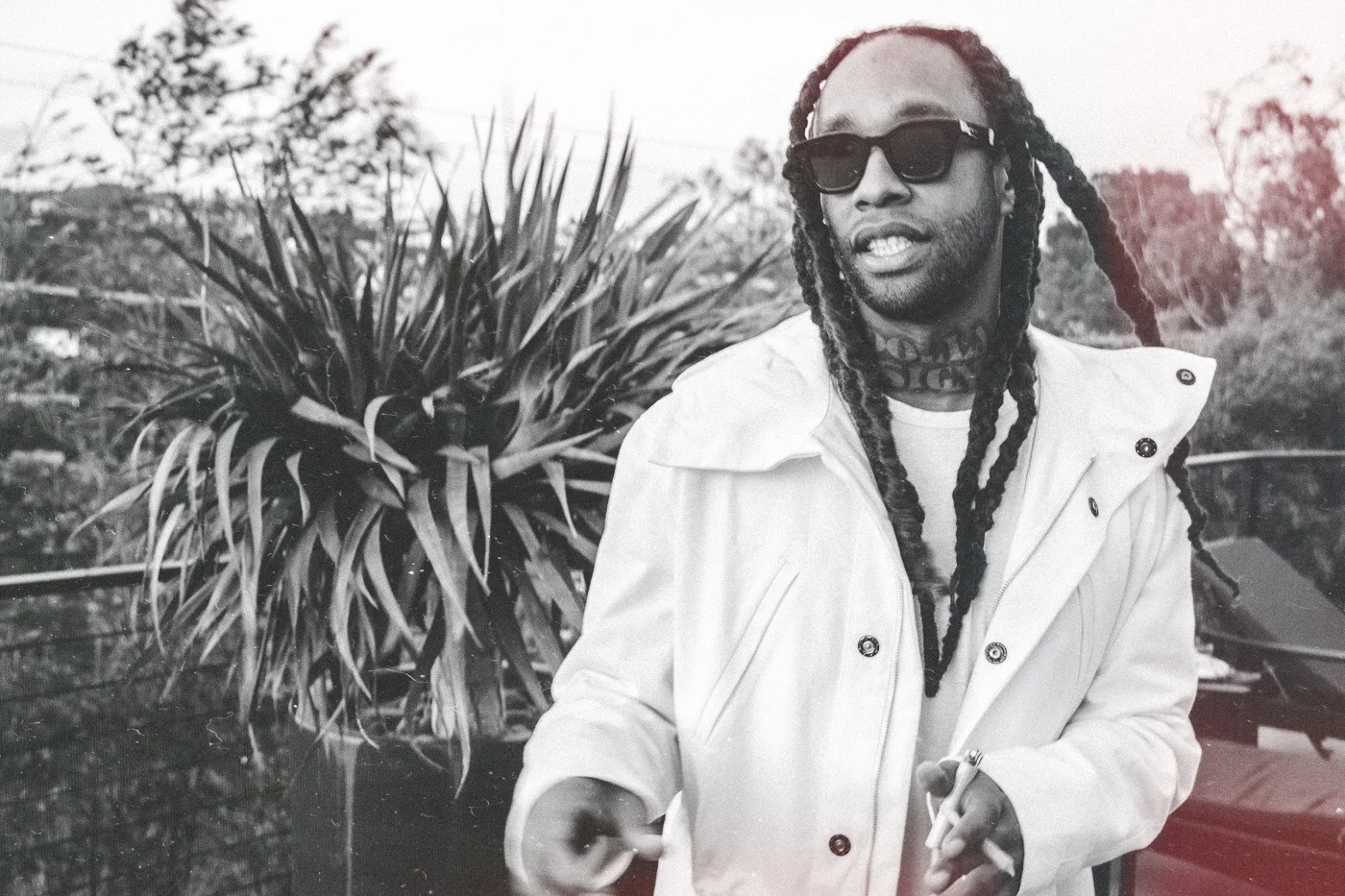 IMG_6772.jpg