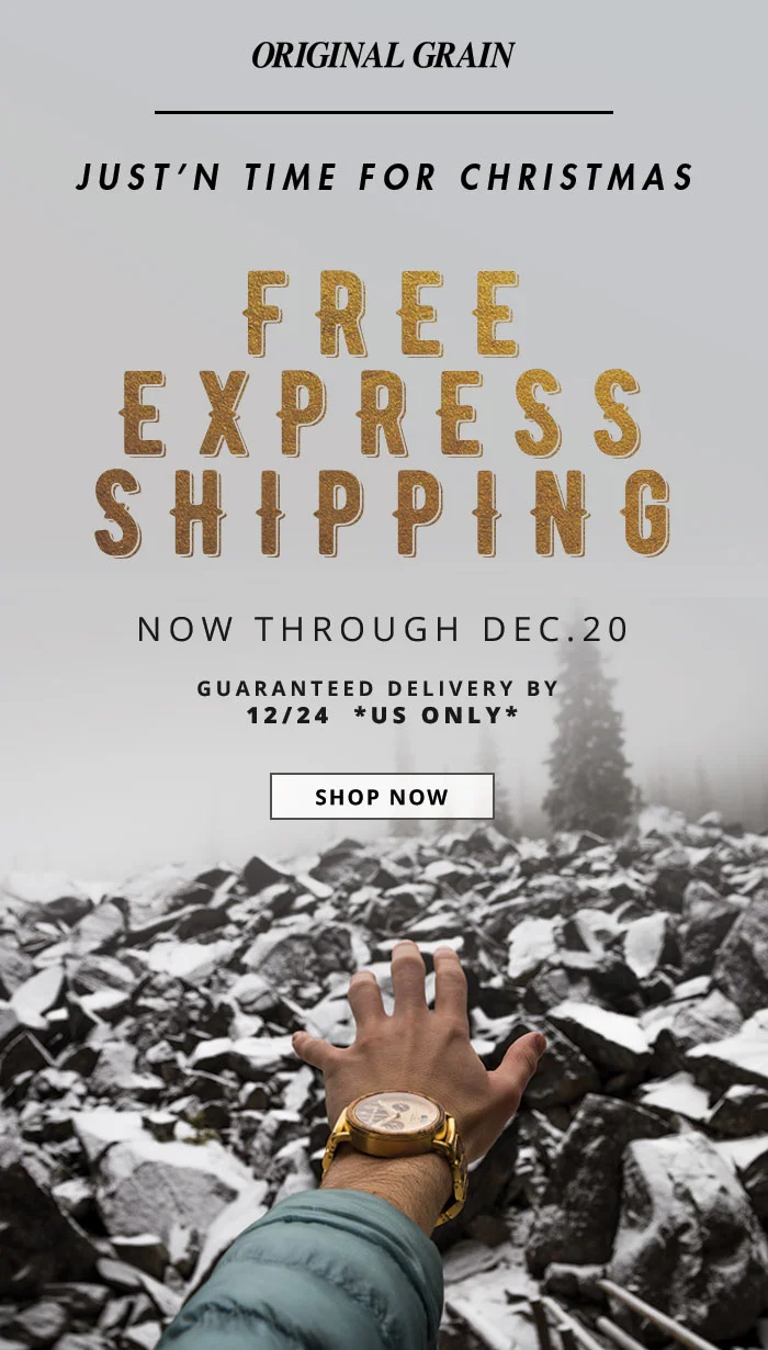 161205_Free_Express_Shipping-copy.jpg