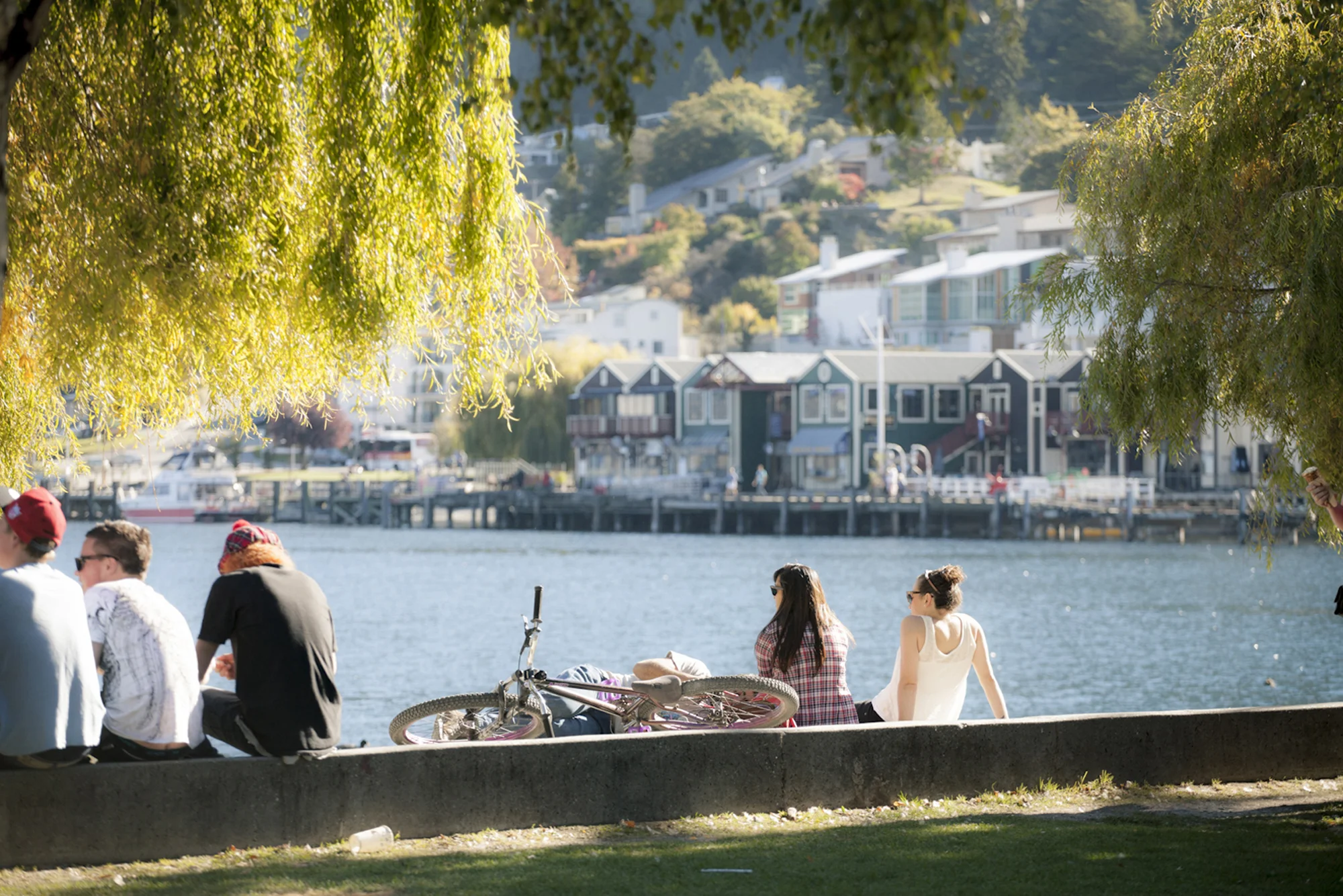 nz40.jpg