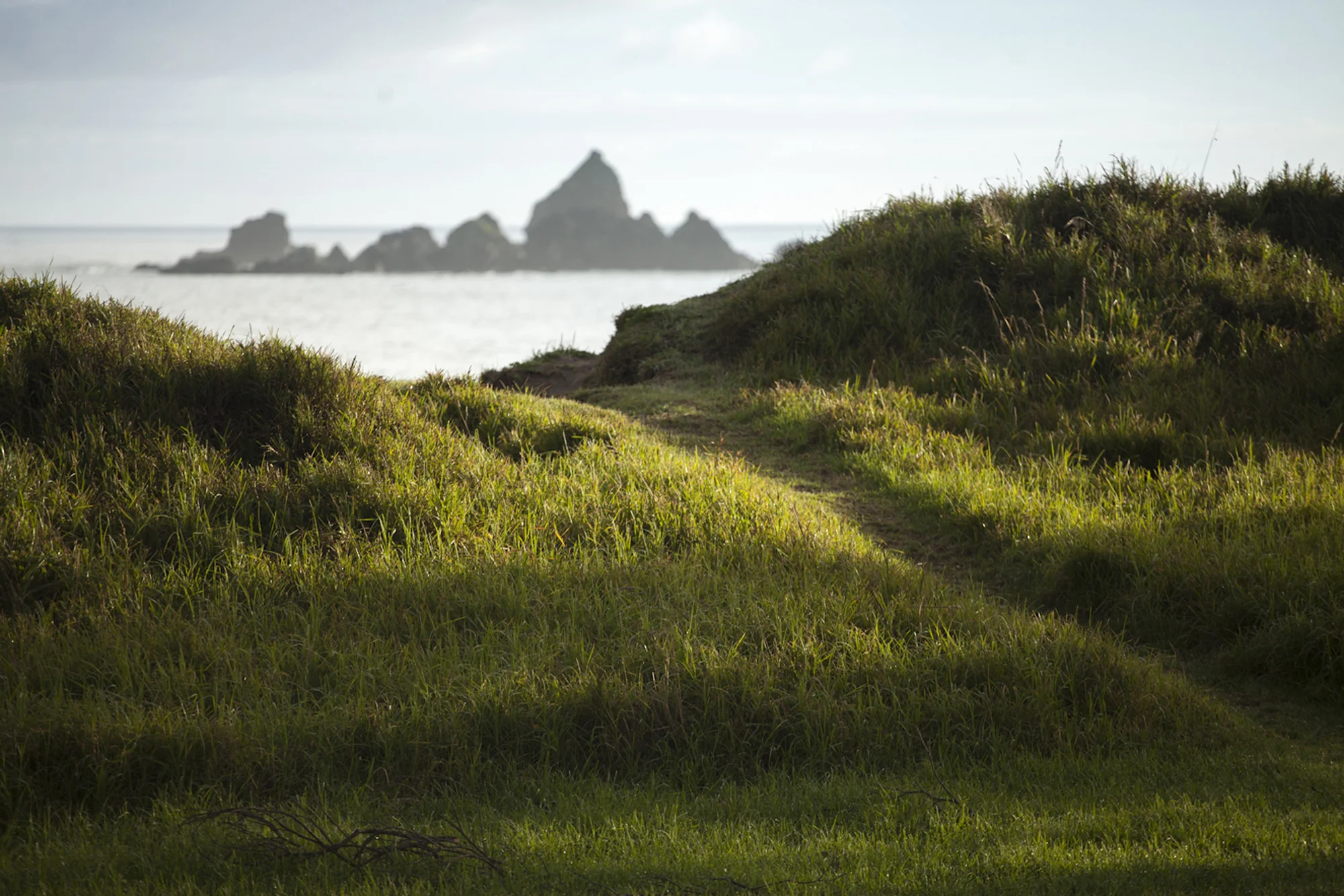 nz05.jpg