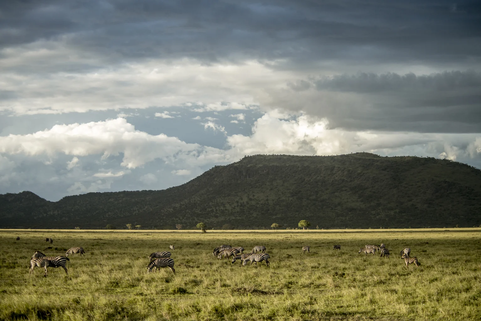 serengeti tanzania