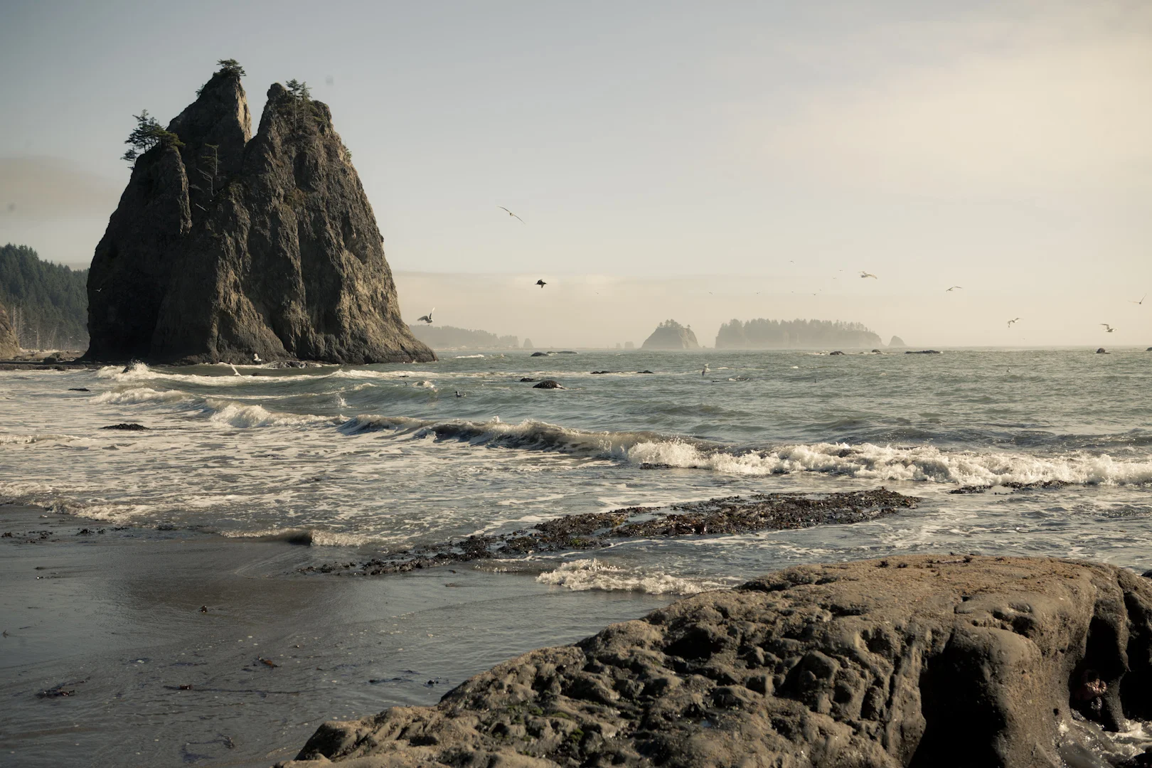 rialto beach washington