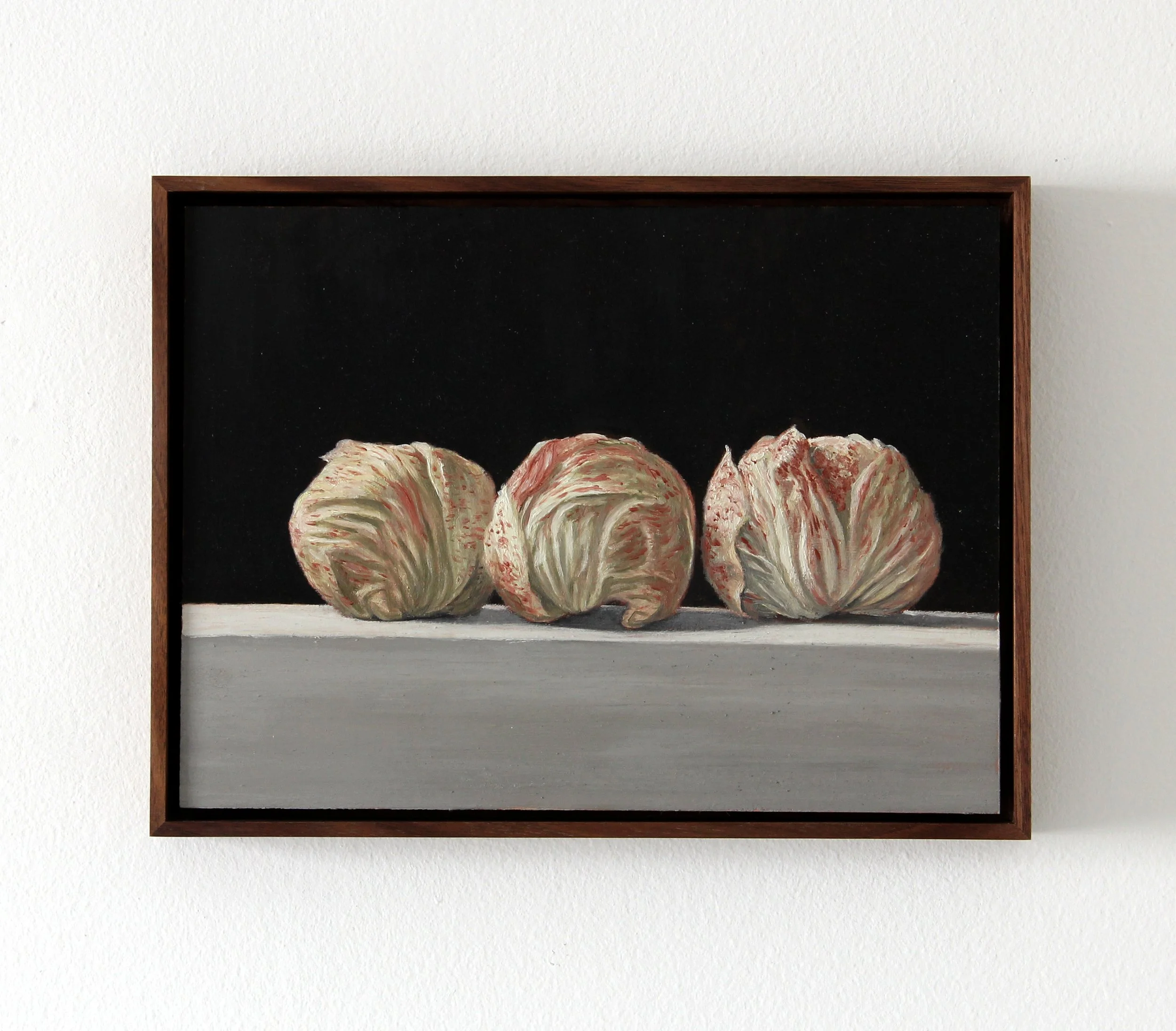 Three Radicchio, 2026. Oil on copper. 9 x 12".