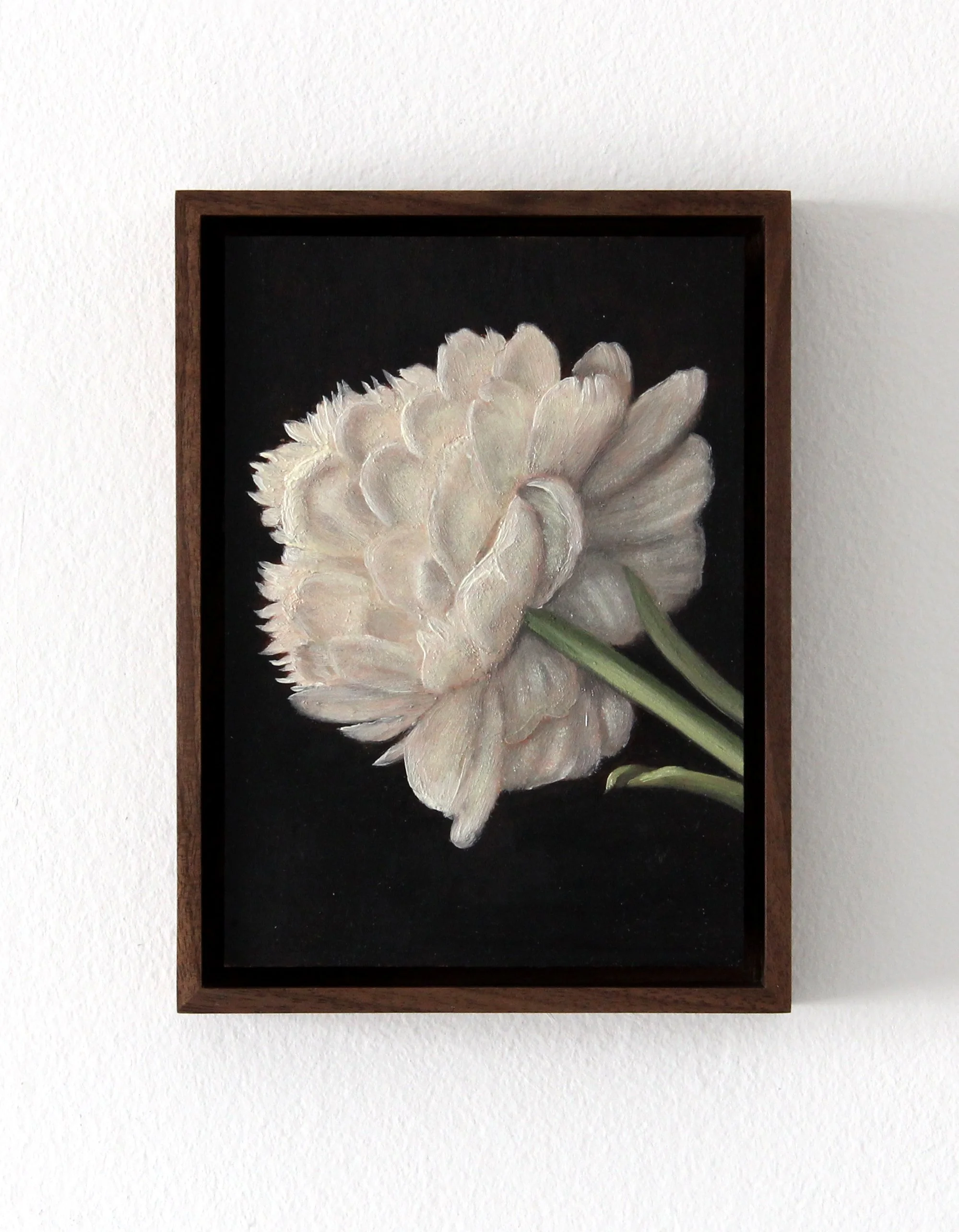 Peony, 2026. Oil on copper. 7 x 5".