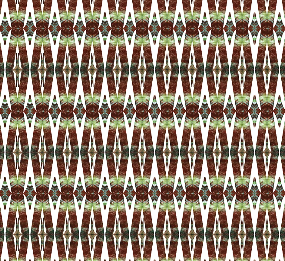 pattern_z.jpg