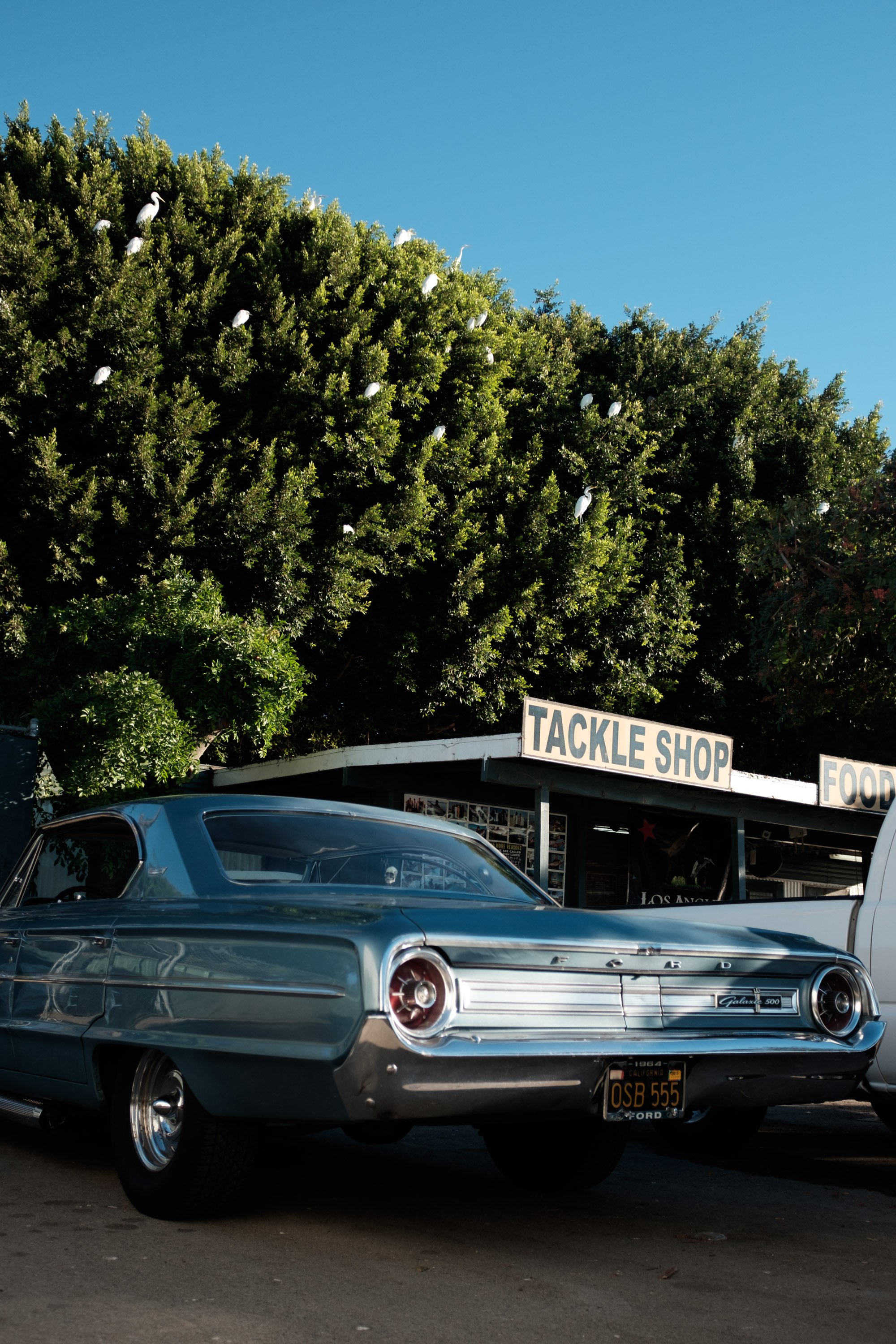 Portfolio_Summer_2016-14.jpg