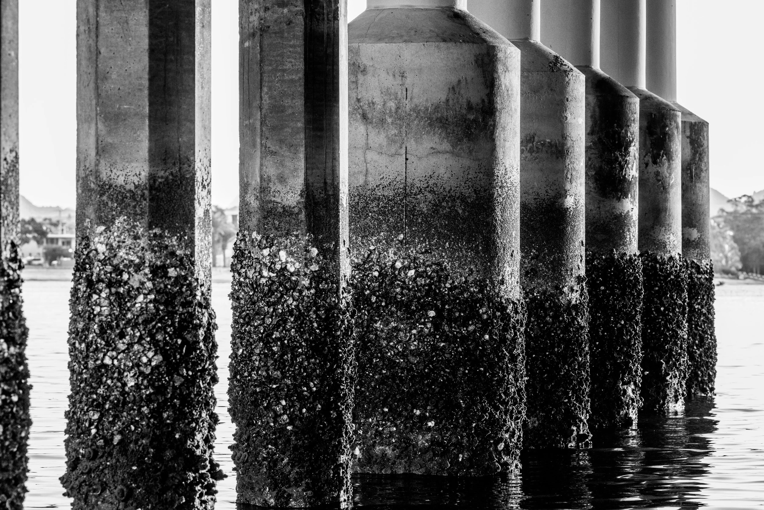 Structural Memory-008-21067.jpg