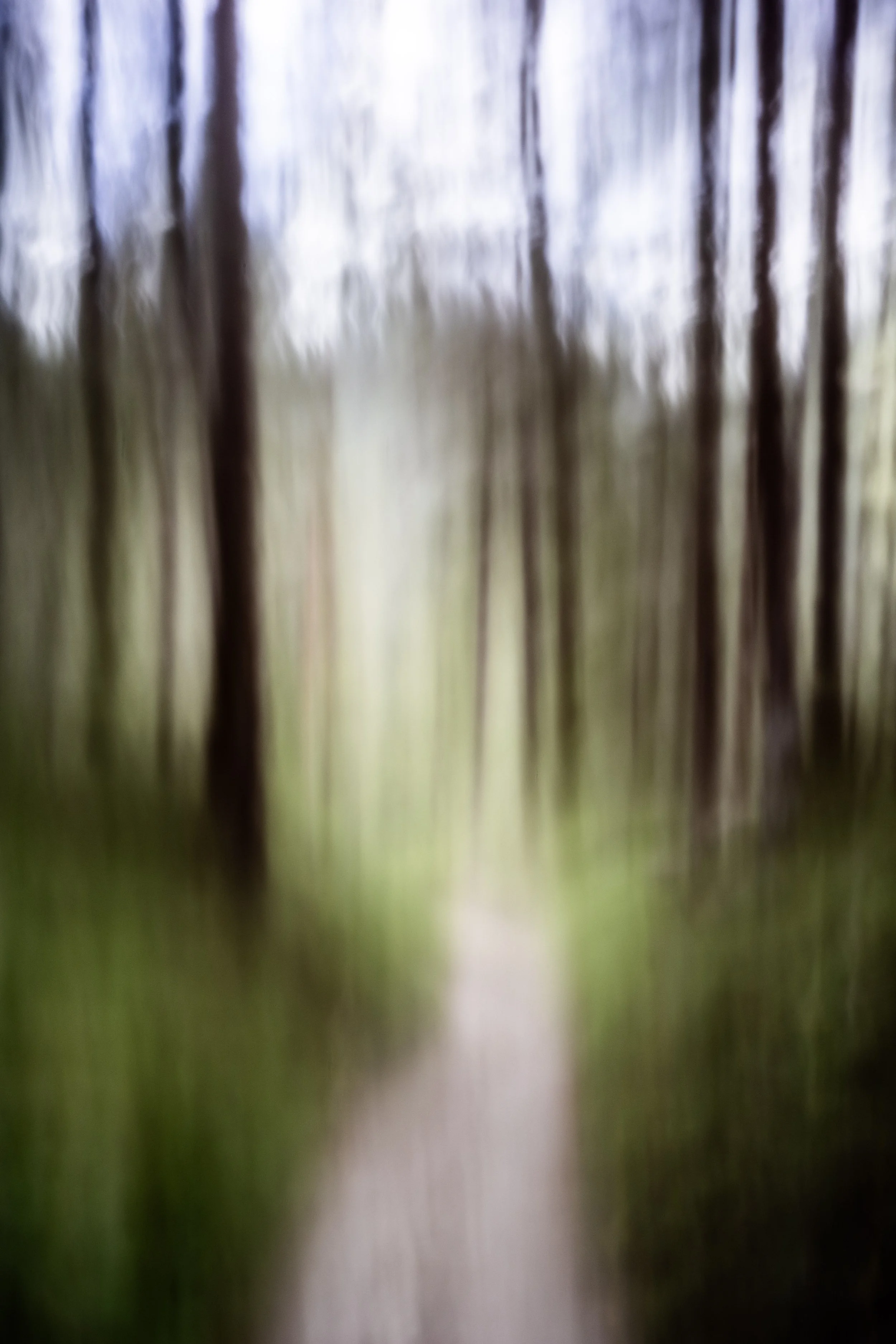 Convergence-006-12038.jpg