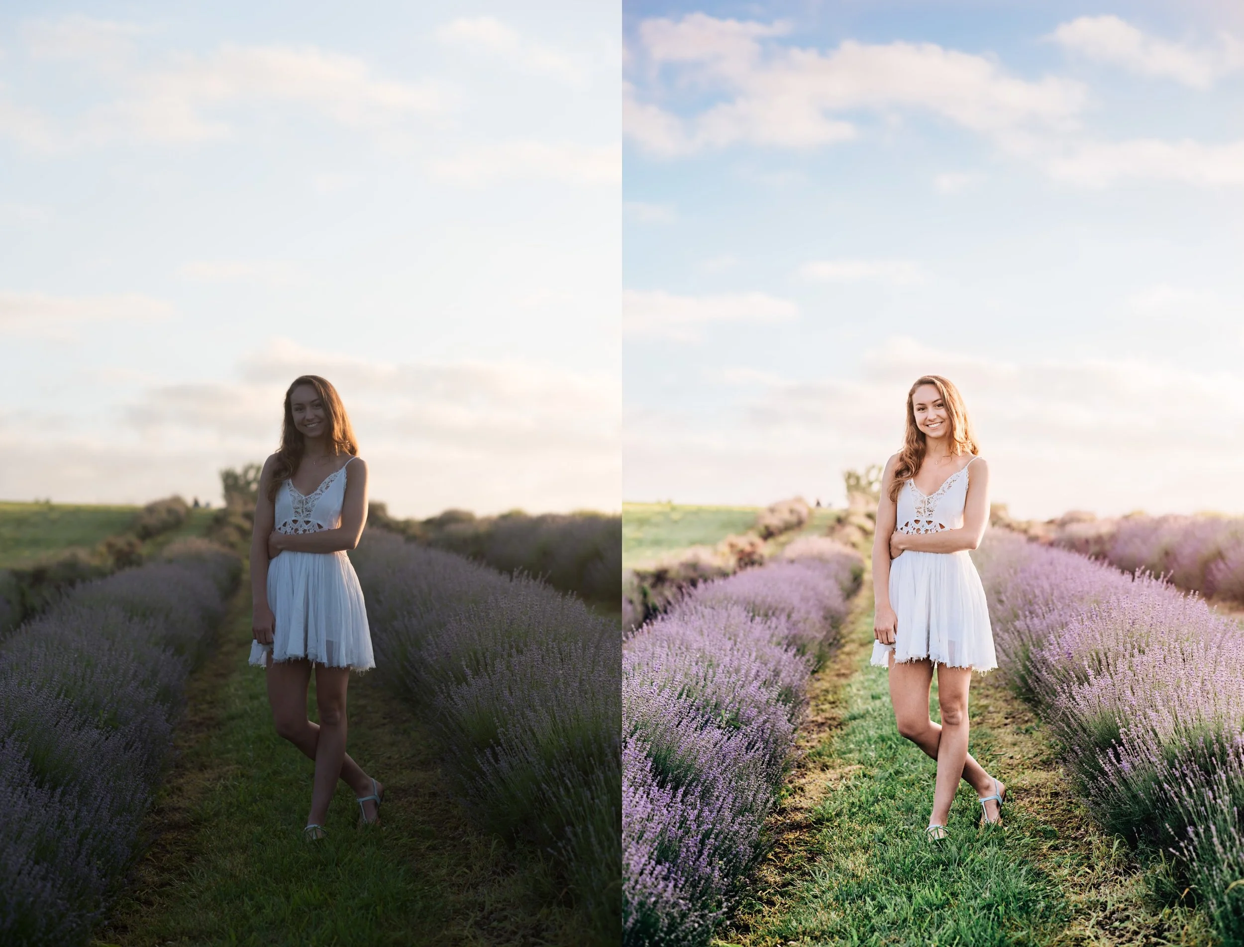 Willow