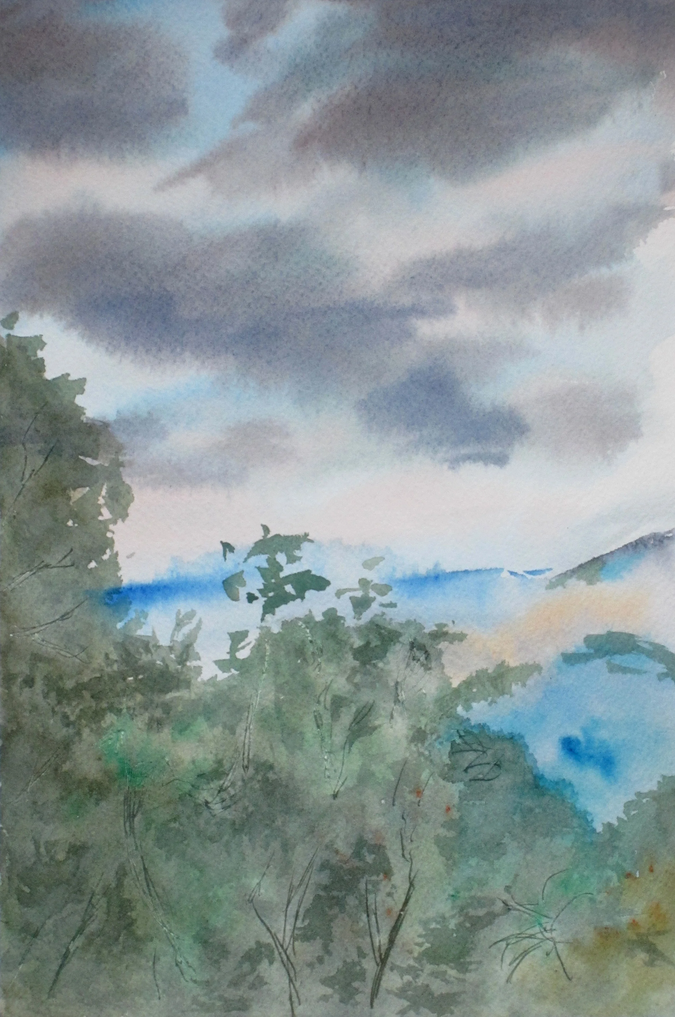 "After the Rain" (10"x7")