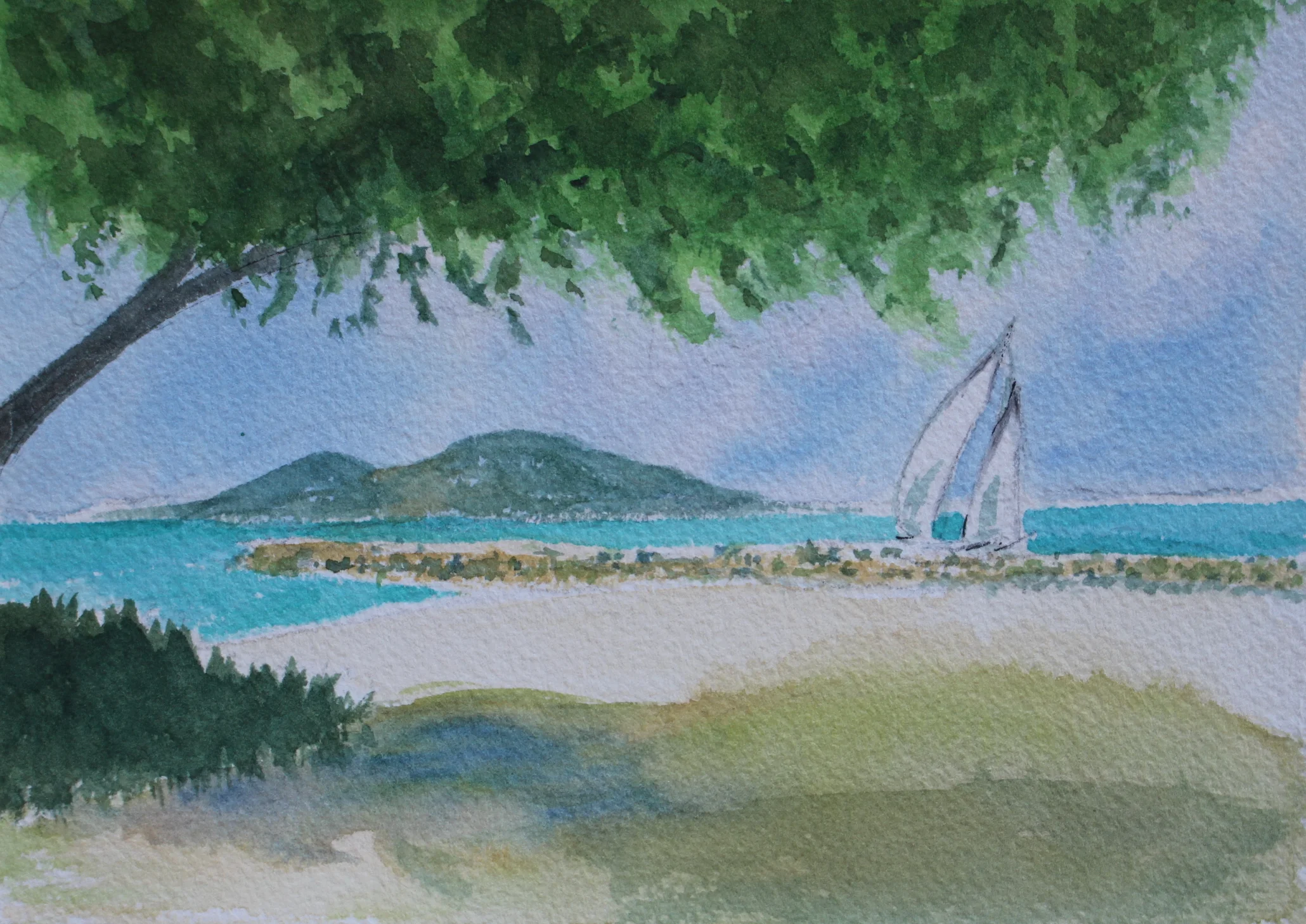 Shade Tree, St. Croix (5"x7")