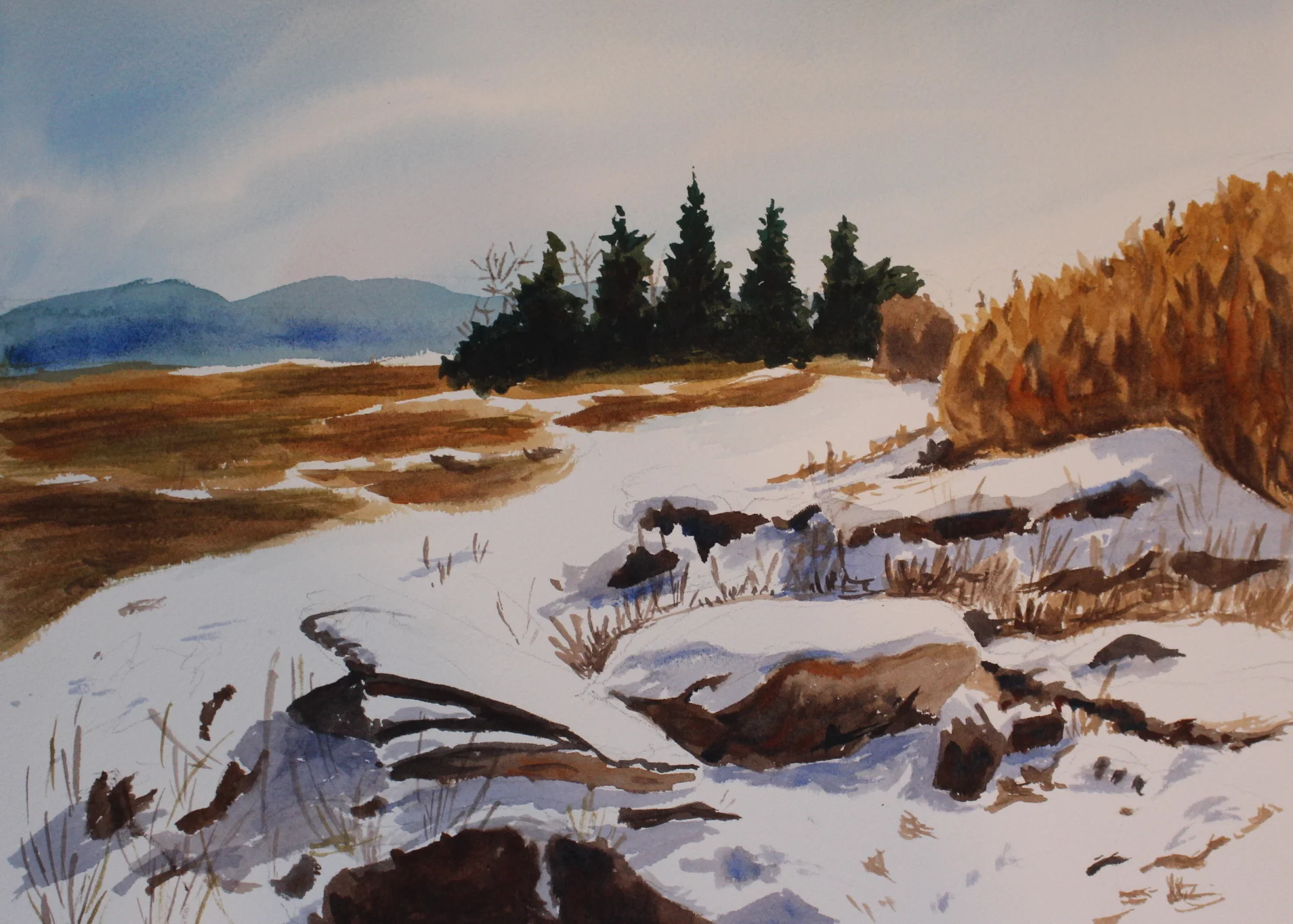 A Stand of Trees (10"x 14")