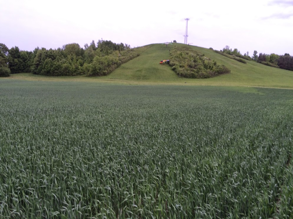 Padgham Hill from field.JPG