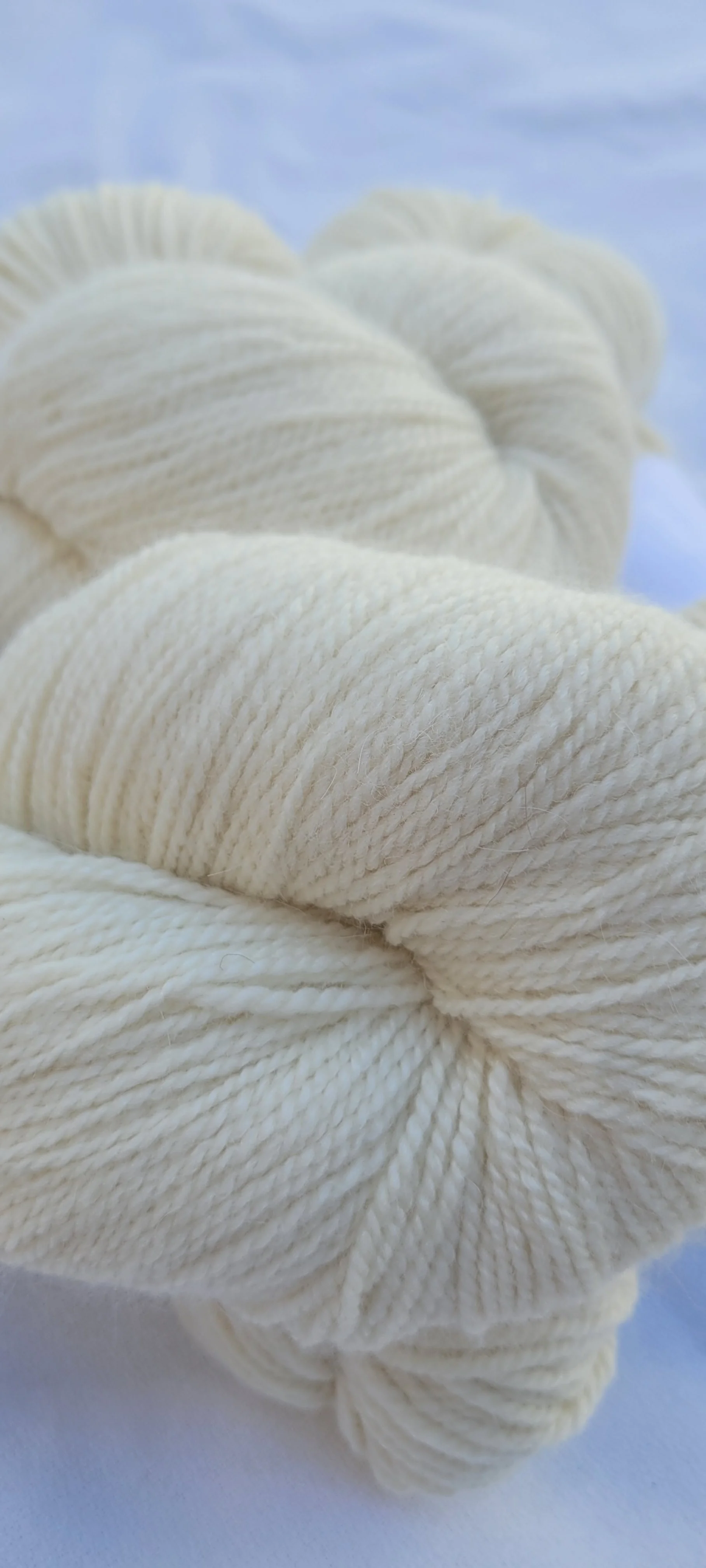 Yarn 62.25.10 Fing.jpg