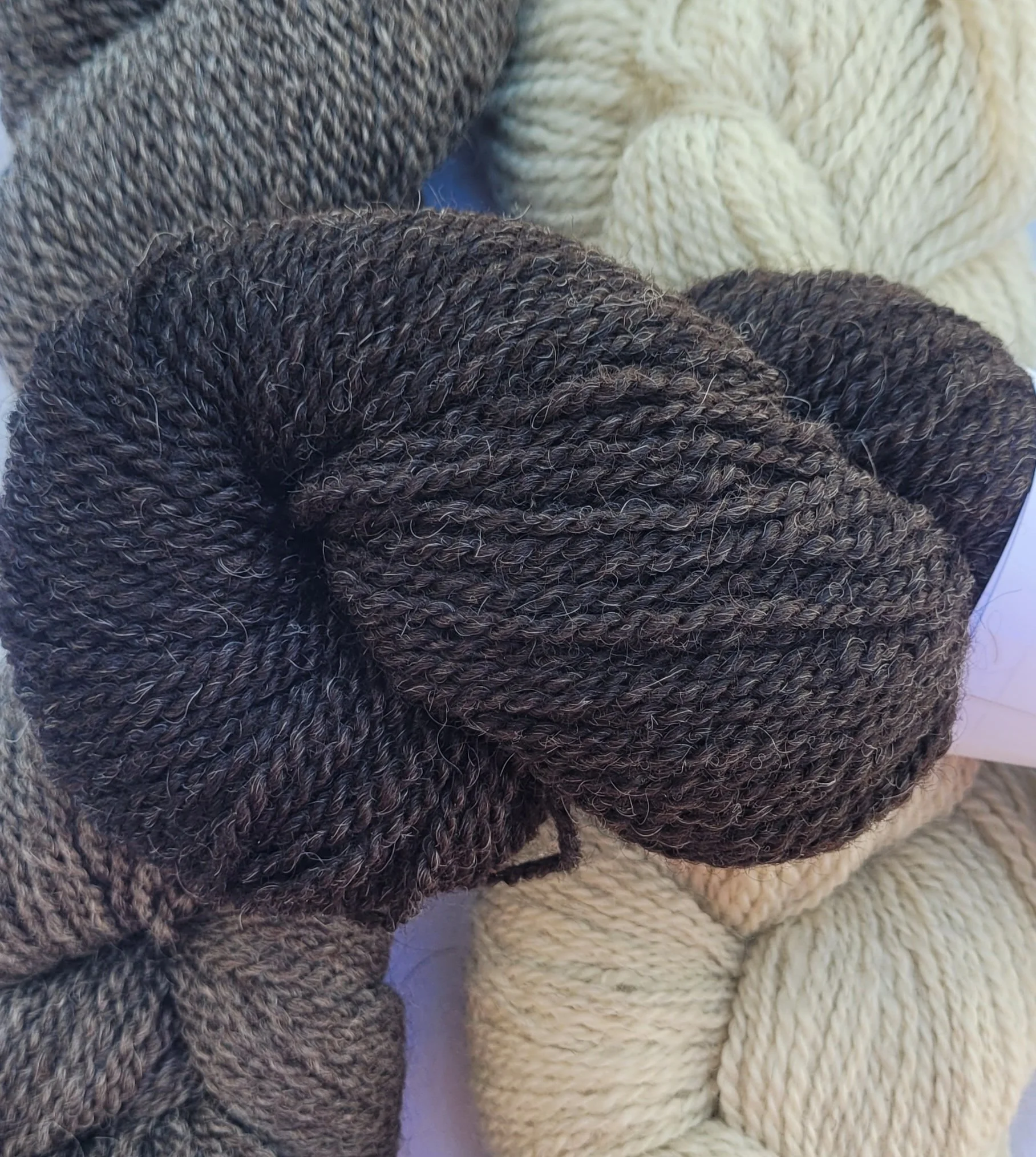 Yarn Shetland Black DK.jpg