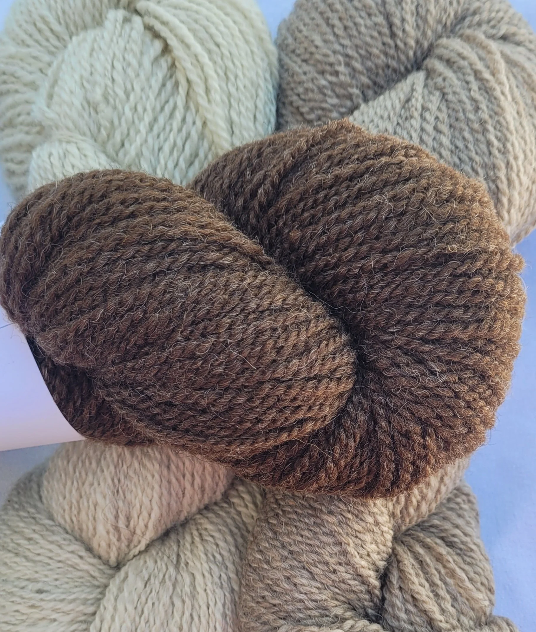 Yarn Shetland Dk Brown DK.jpg