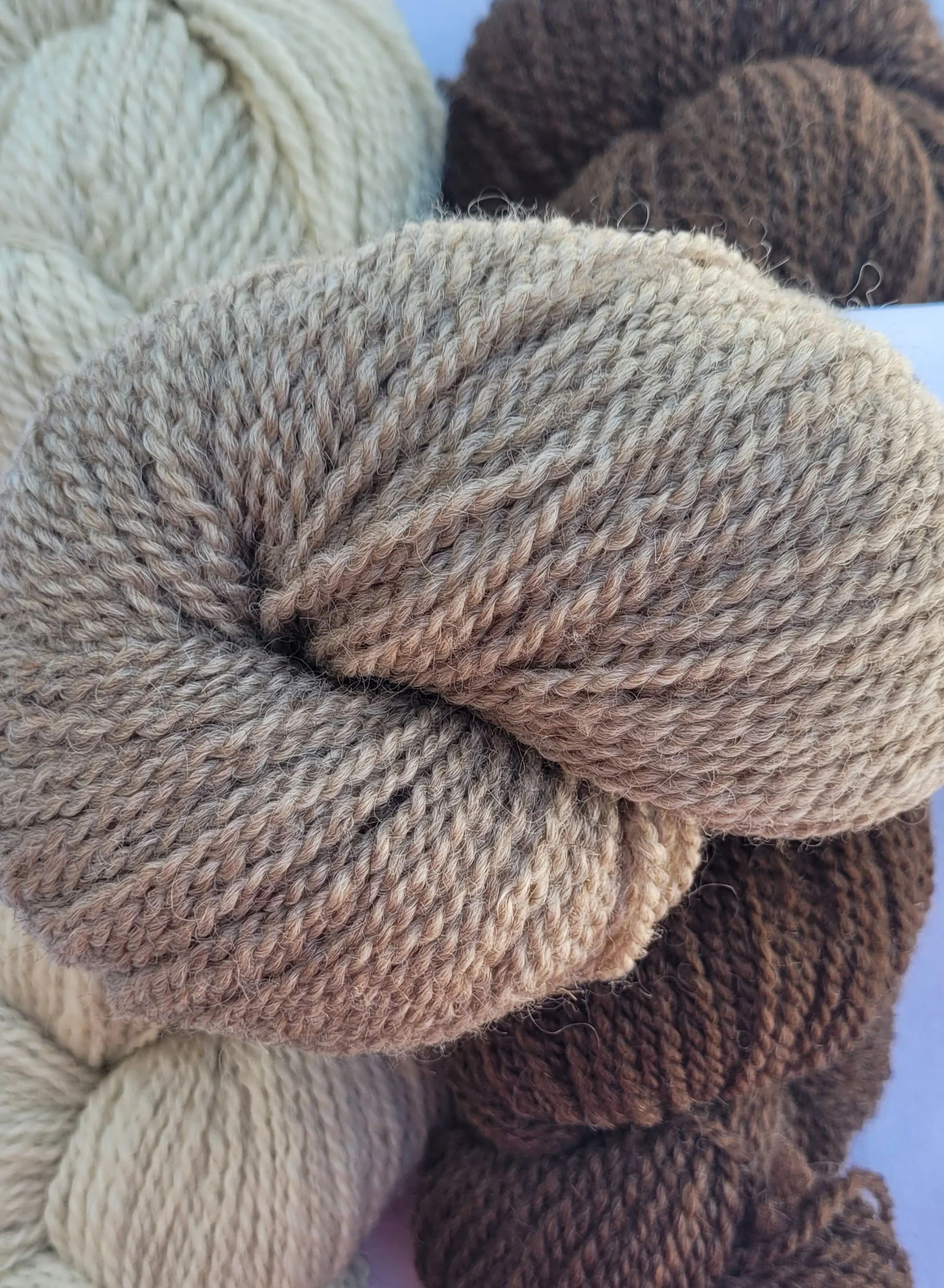 Yarn Shetland Lt Brown DK.jpg