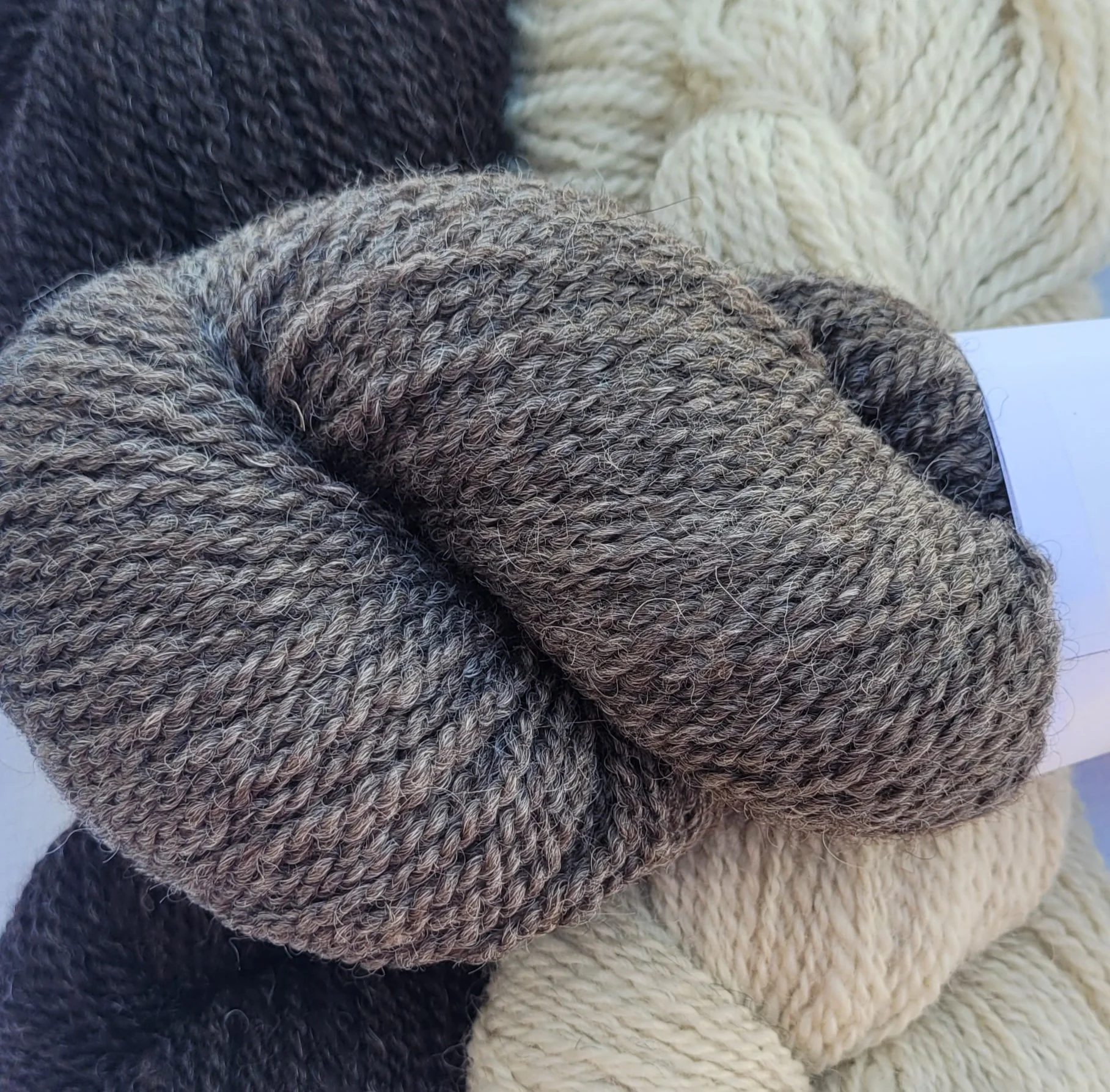 Yarn Shetland Gray DK.jpg