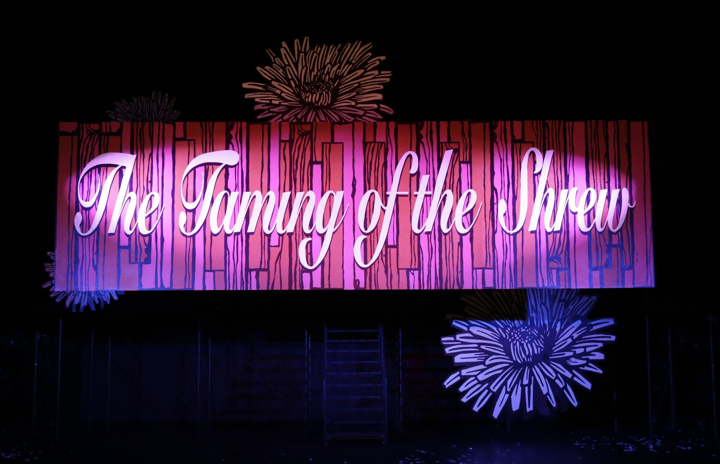 Kate_tamingSign copy.jpg