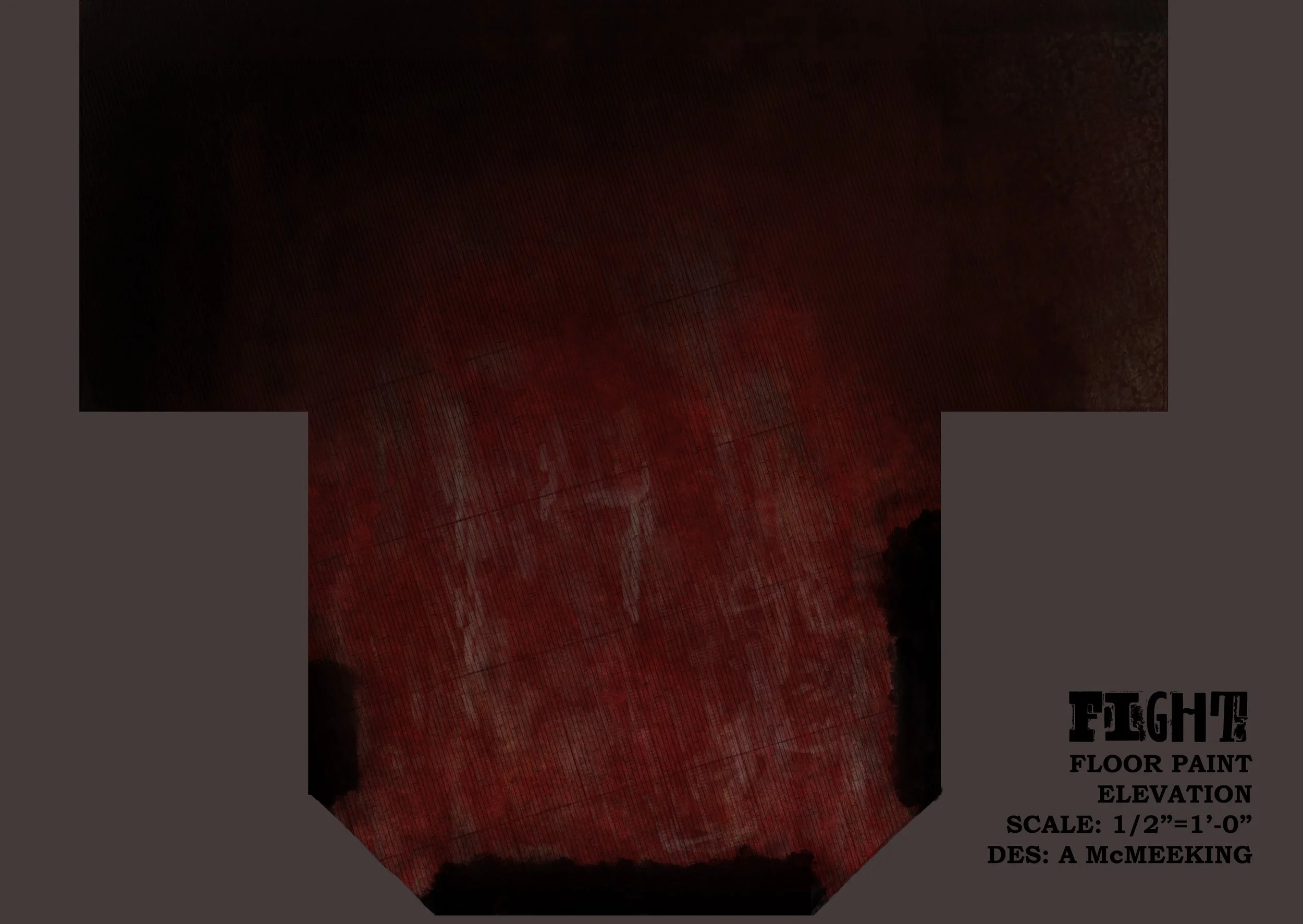 fightfloorhalfinscale copy.jpg