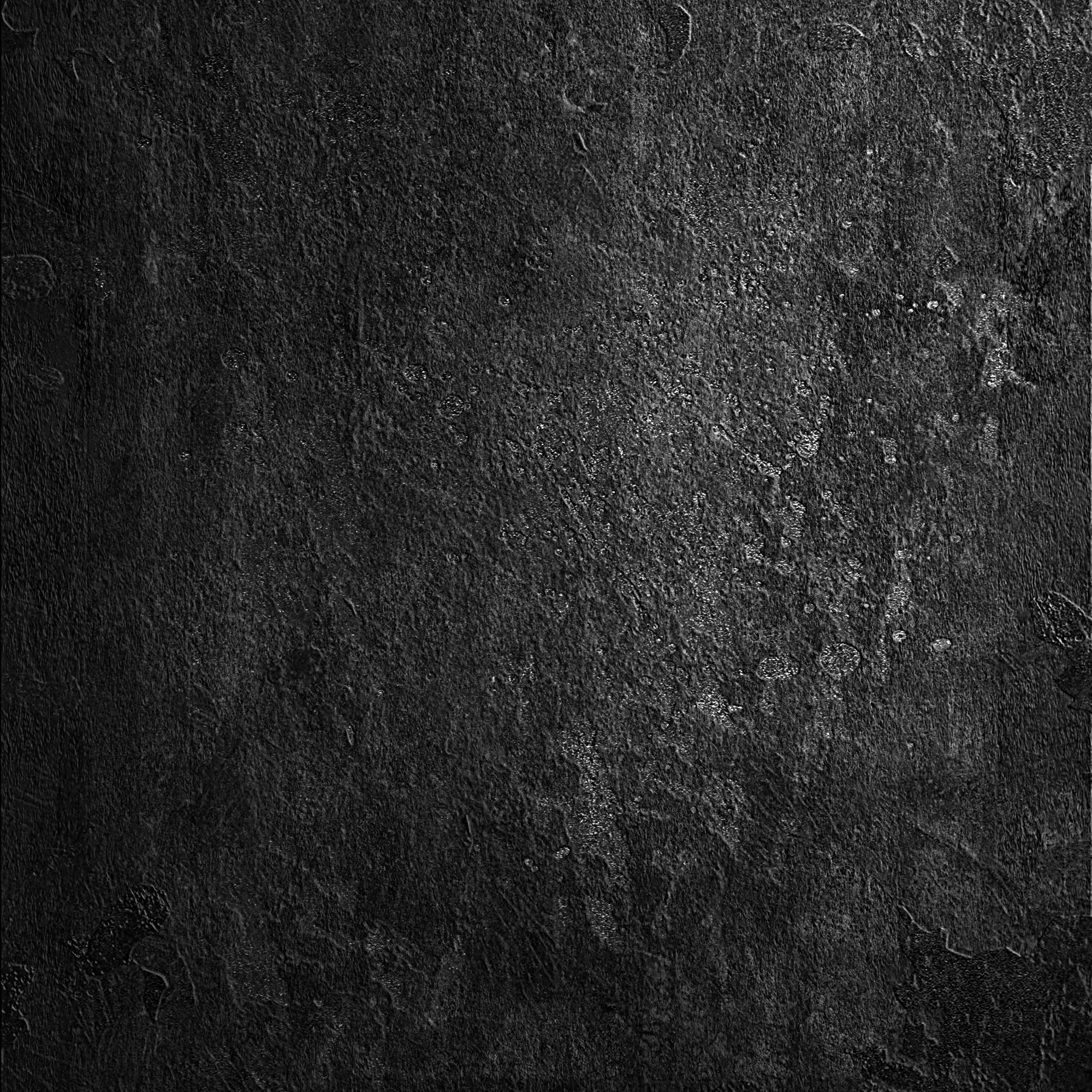 black-white_00313183.jpg