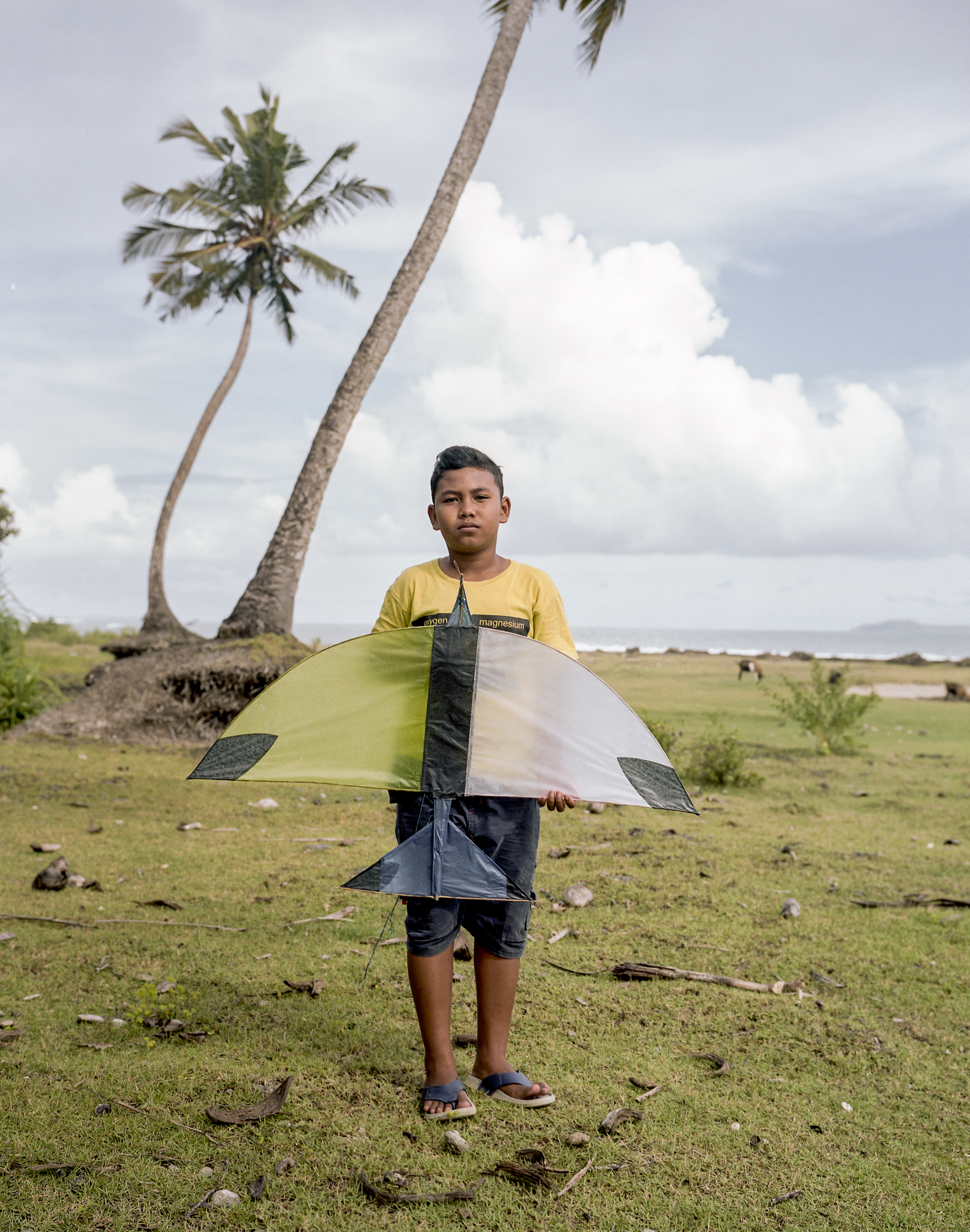 indo.kites255.jpg